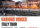 Concerto di cori LGBTQIA+ "Various Voices Italy Tour"