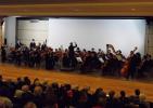 Orchestra delle Venezie