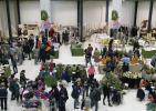 Mostra mercato "Christmas Bazaar 2018"